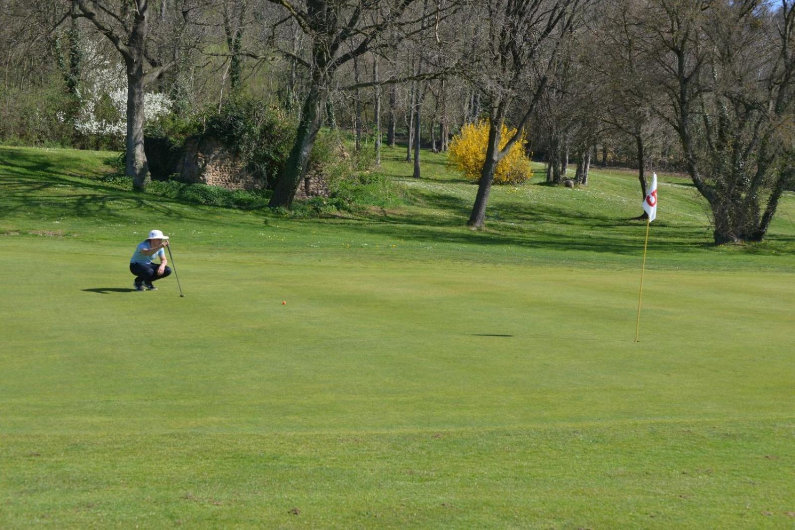Best Western Golf D'Albon Ngoại thất bức ảnh